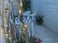 Immagine 9