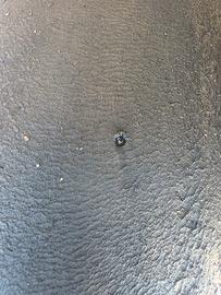 gomme pirelli diablo superbike