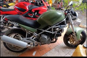 ducati monster