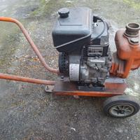 Moto Pompa Lombardini LA 250 Intermotor