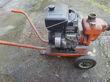 Moto Pompa Lombardini LA 250 Intermotor