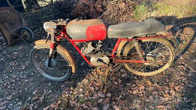 Gabbiano gioiello 50