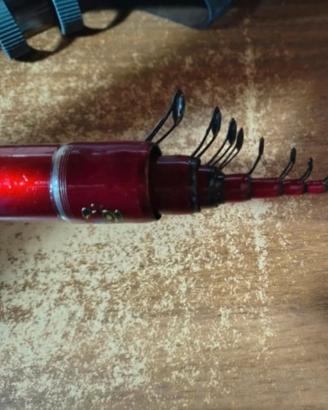 Daiwa competition 5010 