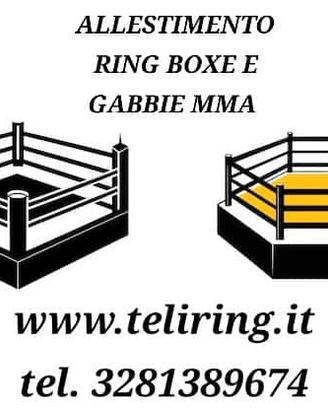 RING DA BOXE E GABBIA MMA