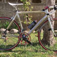 Bianchi LUNA Carbonio bianco