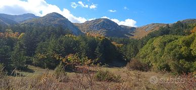 Graziosa casa in montagna, Ovindoli