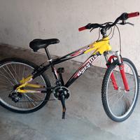 bici raggio 26