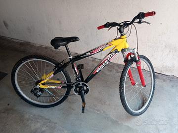 bici raggio 26