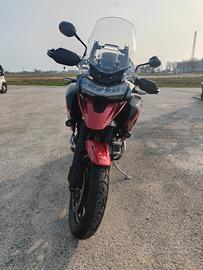 TIGER TRIUMPH 1200 GT PRO