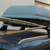 box portabagagli per auto 320 litri