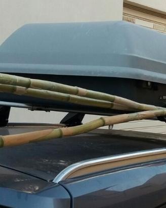 box portabagagli per auto 320 litri