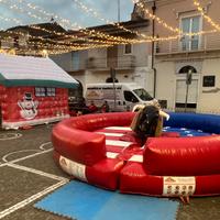 Noleggio toro meccanico e giochi gonfiabili