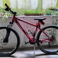 Mtb da ragazzo Lombardo Sestriere 300