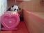 Immagine 6
