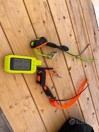 Palmare Alpha 300 k + due collari
