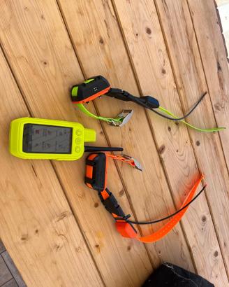 Palmare Alpha 300 k + due collari