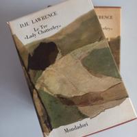 romanzo di D.H.Lawrence