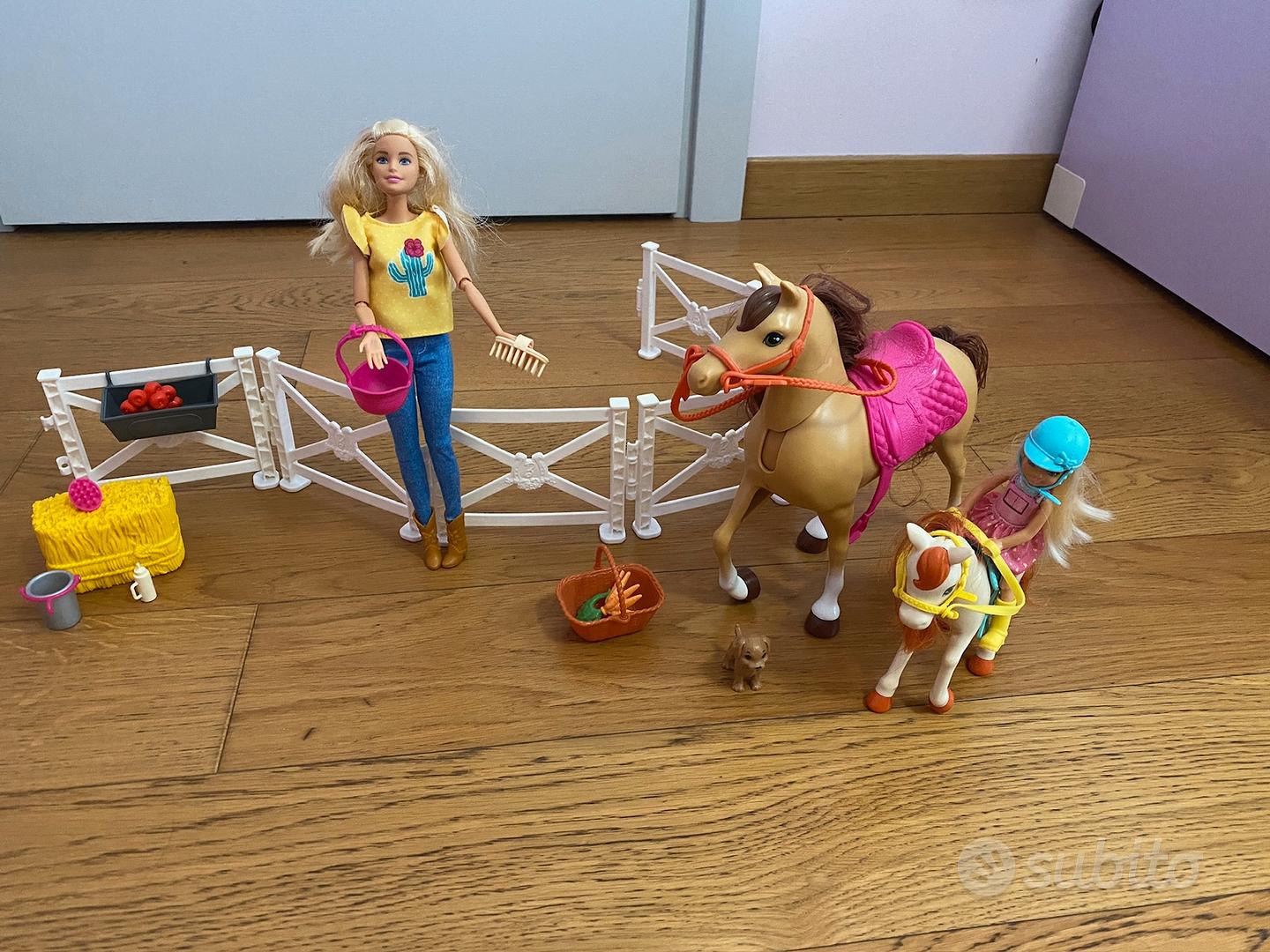 Cavallo Ranch Di Barbie E Chelsea BARBIE RANCH DEI SOGNI Giochi SRLS
