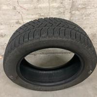 Gomme Invernali Pirelli 195/55 R 16
