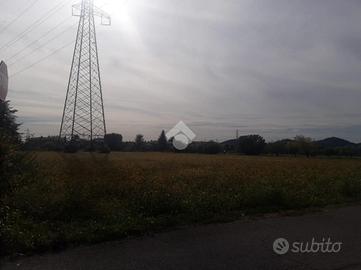 TER. AGRICOLO A GORLAGO