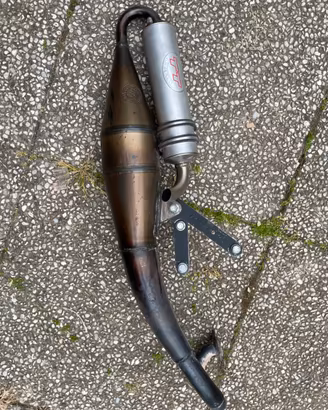 marmitta leo vince TT