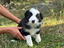 Immagine 23