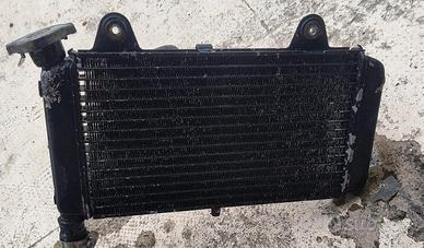 radiatore Yamaha MT 03 660