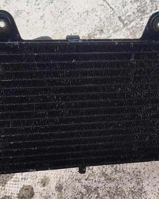 radiatore Yamaha MT 03 660