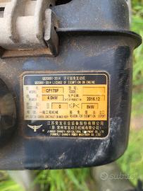 motocoltivatore grillo 