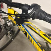 Bicicletta ragazzo rwggio 24