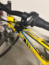 Bicicletta ragazzo rwggio 24