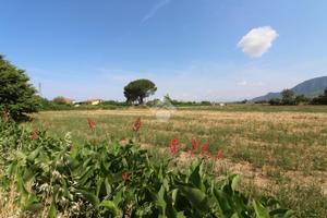 TER. AGRICOLO A AGROPOLI