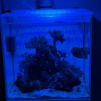 Acquario aqupet 40 per 40