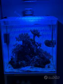 Acquario aqupet 40 per 40