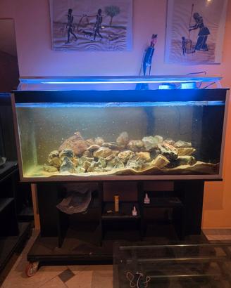 Acquario 350L Malawi 150x40cm – senza led e mobile