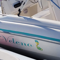 Fiart marea 20 barca open
