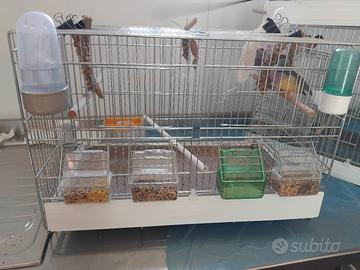 gabbia per uccellini da 50cm molinari