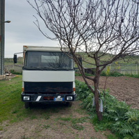 Camion fiat 110