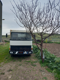 Camion fiat 110