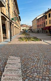 Attività parrucchiere uomo donna