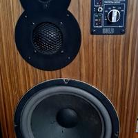 Casse acustiche diffusori ESB 80LD