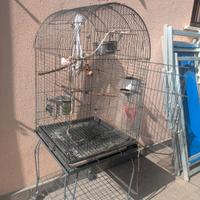 Gabbia per Pappagallo e uccelli 