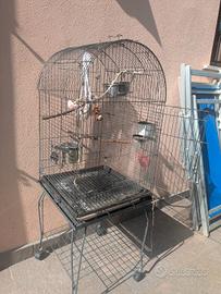 Gabbia per Pappagallo e uccelli 