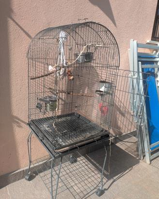 Gabbia per Pappagallo e uccelli 