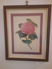 Quadri fiori