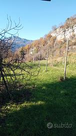 Terreno agricolo - zona Noriglio