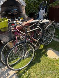 Bici da passeggio