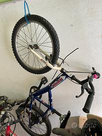 Bici da ragazzi