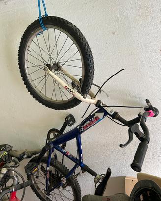 Bici da ragazzi