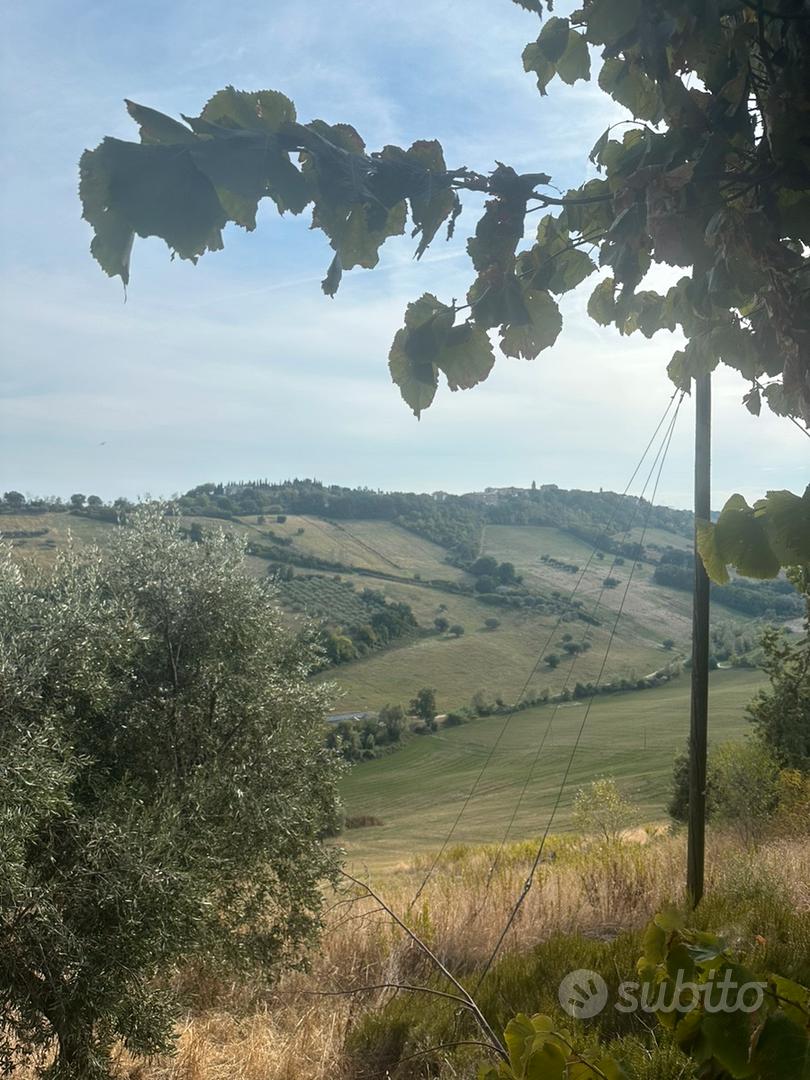 Terreno Agricolo oltre 4 Ettari LAPEDONA - Vista 3